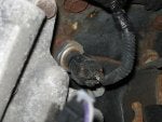 IMG_0027.jpg